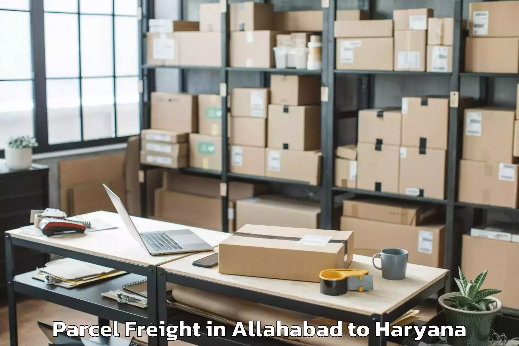 Book Your Allahabad to Hathin Parcel Freight Today